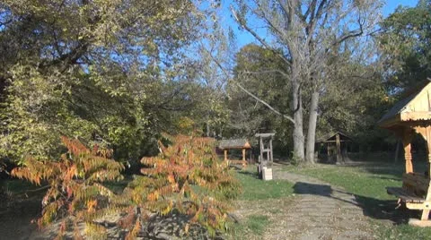 AUTUMN TREES Stock-Footage 8953120