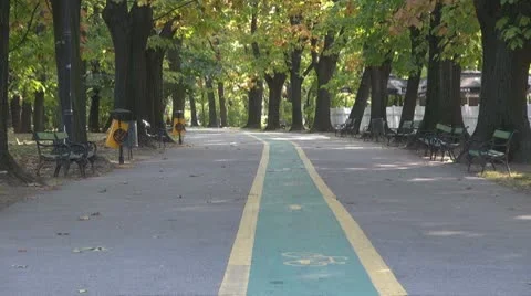 AUTUMN TREES Vídeos de archivo 9944818