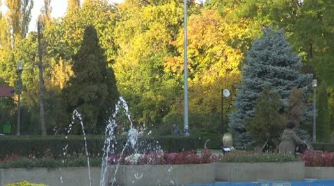 AUTUMN TREES Video stock 9976667