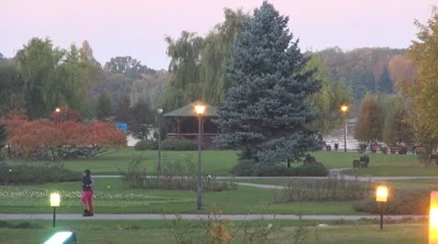 AUTUMN TREES Vídeos de archivo 9979253