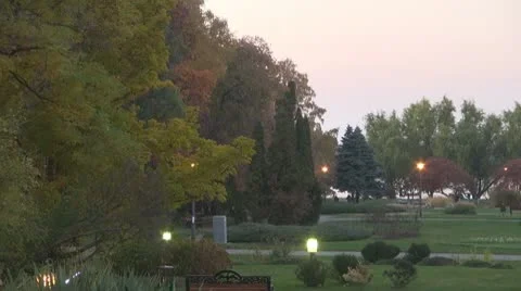 AUTUMN TREES Stock-Footage 9980406