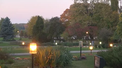 AUTUMN TREES Stock Footage