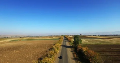 Autumn trees Stock-Footage 129636509