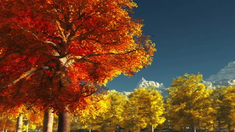Autumn trees Vidéo 168094154