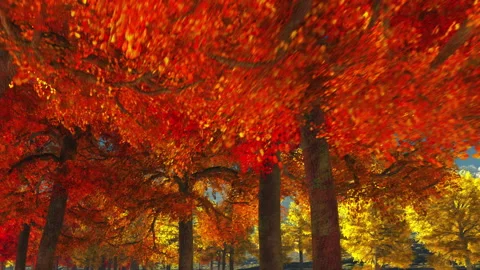 Autumn trees Stockbeeldmateriaal 168094630