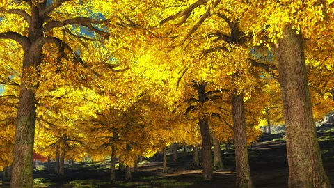 Autumn trees Stock Footage 168095770