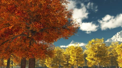Autumn trees Stock Footage 205592157