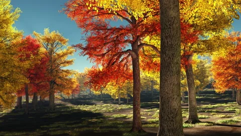 Autumn trees Видео 205592317