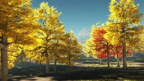 Autumn trees Stock Footage 205592510