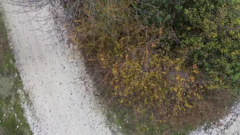 Autumn on the trees! Vidéo 294999941