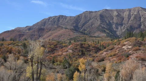 Autumn trees forest mountain Nebo peaks Utah 4K Video stock 45224697