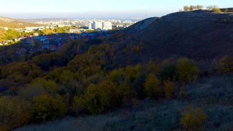 Autumn trees on the hillside Video stock 97856793