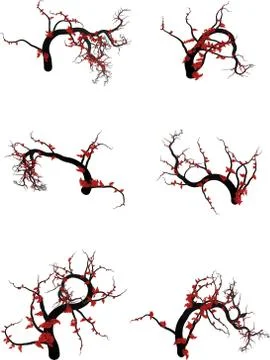 Autumn Trees Stock Illustration