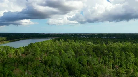 Autumn Trees Lake Stock Footage 221425069