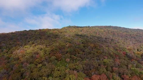 Autumn trees on mountain drone Stock Footage 166000551