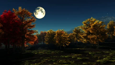 Autumn trees at night Vídeos de archivo 205592542