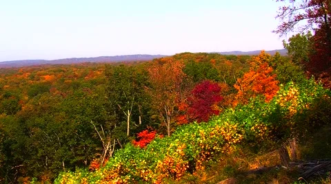 Autumn Trees Overlooking Valley Stock Footage 904710