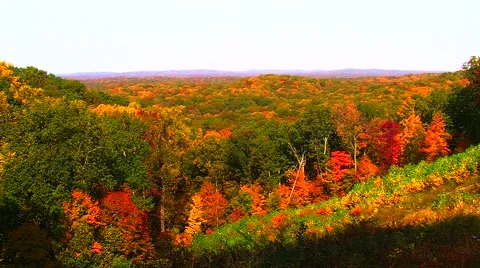 Autumn Trees Overlooking Valley Video stock 904783