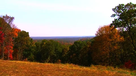 Autumn Trees Overlooking Valley Stock Footage 904986