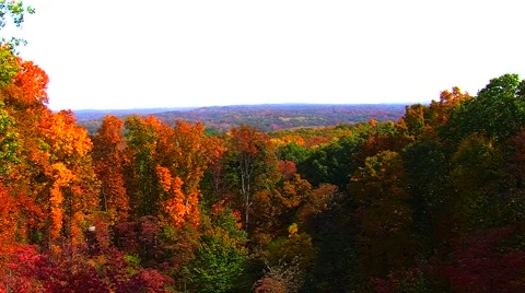 Autumn Trees Overlooking Valley Video stock 905162