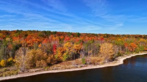 Autumn Trees Pan with Shoreline Stock Footage 342372465
