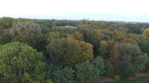 Autumn trees in The Park Stock Footage 96713497