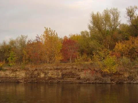 Autumn trees Stock Photos