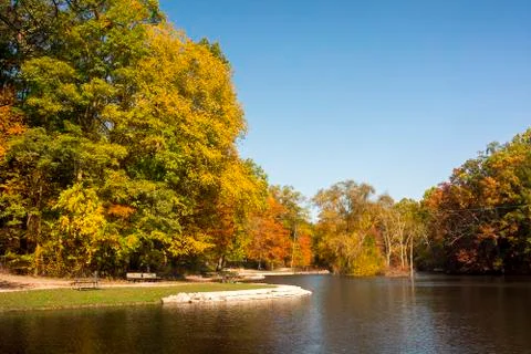 Autumn trees Stock Photos