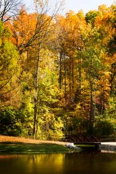 Autumn trees Stock-Fotos