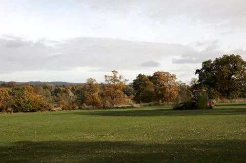 Autumn trees Stock Photos