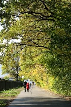 Autumn trees Stock Photos