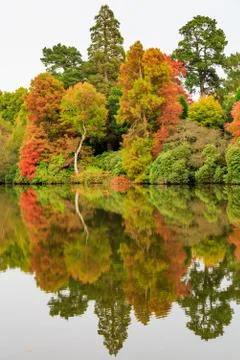 Autumn Trees Foto stock