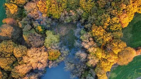 Autumn Trees Stock Photos