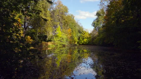 Autumn trees reflect in calm, leaf-dappled water Stock Footage 346899015