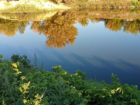 Autumn Trees Reflected in Calm River Water Stock Photos