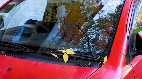 Autumn trees reflected in the glasses of a red car, yellow leaves fall on the ca Stock Footage 95766962