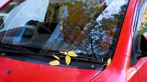 Autumn trees reflected in the glasses of a red car, yellow leaves fall on the ca Stock Footage 95766965