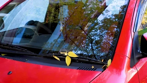 Autumn trees reflected in the glasses of a red car, yellow leaves fall on the ca Stock Footage 102927191