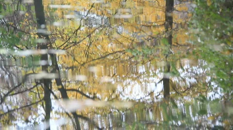 Autumn trees reflected in water Stock Footage 575527