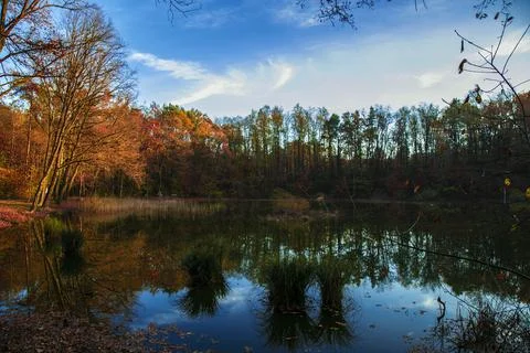 Autumn trees reflected in water Stock Photos