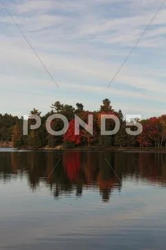 Autumn trees reflecting on calm lake. Stock Photos