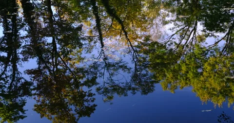 Autumn trees reflection in the river Stock Footage 254678373
