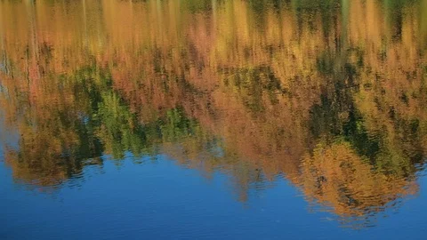 Autumn trees reflection in water Stock Footage 96420720