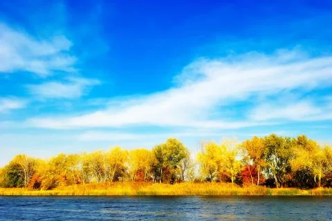 Autumn trees by the river 스톡 사진