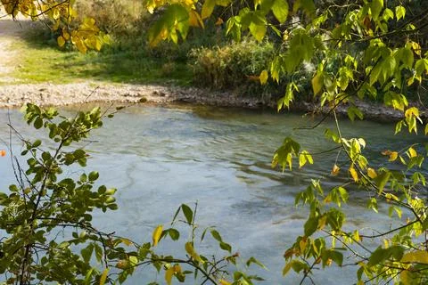 Autumn trees by the river Stock Photos