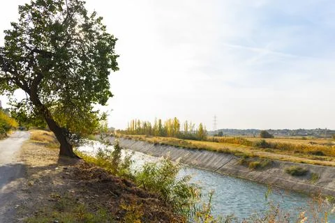 Autumn trees by the river Stock Photos