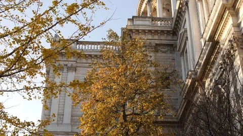 Autumn trees rustle in front of ancient building 스톡 동영상 82788560