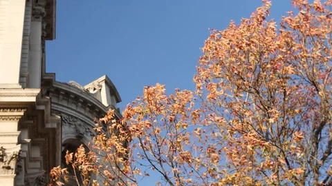 Autumn trees rustling in front of ancient building 스톡 동영상 82707059