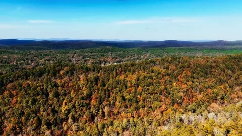 Autumn Trees Set Against a Dramatic Sky Stock Footage 220370035