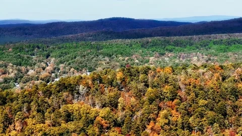 Autumn Trees Set Against Rolling Hills in the Background Stock Footage 220370008